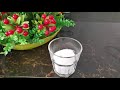 COCONUT JELLY | ASIAN COCONUT JELLO |HOW TO MAKE COCONUT JELLY DESSERT