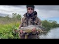 Brown Trout Fishing in Iceland 2023 edition pt. 2