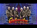 Las 30 mejores canciones de Cardenales de Nuevo León 2024