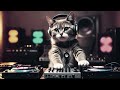 TOP EDM Music Mix 2024 🎧