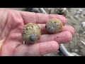 Exploring an island of seashells. Bucket list shells and fabulous ocean treasures!