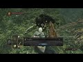 DARK SOULS™ II: Scholar of the First Sin-wacky ragdoll physics