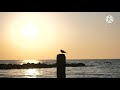 Sunset Music, Nature sounds, Meditation music, Ocean Sunset, 4k