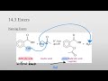 12. Carboxylic Acids and Esters Pt. 3 - Esters (CHEM 1407)