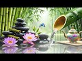 Relaxing Music with Water Sounds 🌿 Spa Music, Stress and Anxiety Relief