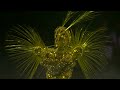 Golden Voyager encounters Nike, the goddess of victory, at Closing Ceremony | Paris Olympics