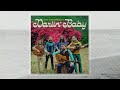 Darlin' Baby - The Sheepdogs (Official Visualizer)