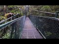 Monteverde Cloud Forest  Hanging Bridges