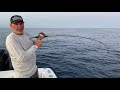 How to Jigging Mutton Snapper | jigging Mutton | Best Jigging Mutton Snapper | Mutton snapper |Fsftv