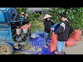 FULL VIDEO: Excavator leveling,lumber truck,Carrying steel for the girl to build a floating house.