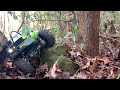 Relaxing Woods Crawl Trx-4