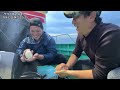 Poor Spanish Mackerel Catches! Fishing for Mackerel Begins...