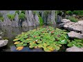 Classical Gardens of Suzhou, How Ancient Chinese Harmonized Conceptions of Aestheticism | 4K HDR