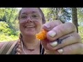 Living in my van | Trying to stay cool with a dog | Hot days of summer | sushi burrito #vanlife