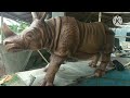 HOW TO MAKE RHINOSORE statue