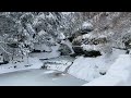 #snowstorm in the #woods #amazing #video #snow #germany #europe #winter #debora