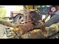 cut down trees using traditional farmer machines