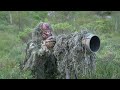 DO NOT GIVE UP! // WILDLIFE PHOTOGRAPHY at a beaver dam - nikon z9