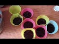 Faire des Mi-cuits au Chocolat en première vidéo, Quelle Superbe Idée!!