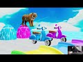 Long Slide Game With Elephant Gorilla Buffalo Hippopotamus Tiger - 3d Animal Game - Funny 3d Animals