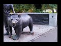 The Syrian Bear that Fought for Poland in World War 2