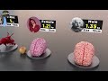 Brain Size Comparison | Animal | Human | Monster | Fictional Brains Size