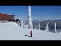 Montana Bluebird Day