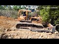 Amazing Heavy Old Heavy Bulldozer Working Breakdown Tree Making New Road With Small Dozer And Truck