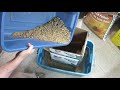 Cheap Pellet Cat Litter - Save Big & Breathe Easier - plus a $1 DIY Sifter