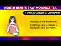 Drink 1 Cup Moringa Tea DAILY, See What Happens To Your Body