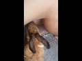 Feeding my 2 rabbits