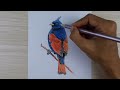 Realistic painting birds compilation 2