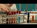 Biology - Reducing Sugars using Benedict's Reagent Demonstration