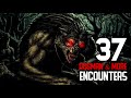 37 DOGMAN & CREATURES ENCOUNTERS COMPILATION Dogman, Bigfoot, Wendigos   What Lurks Beneath