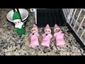 PINK BABY ELVES LOCKED UP INSIDE JAIL