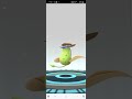 evolving bellsprout 669 candies