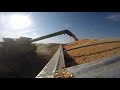 Corn Harvest 2016