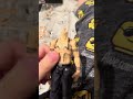 S.H.Figuarts Ryomen Sukuna / Yuji Itadori and bonus clip