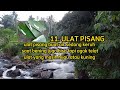 14 Jenis Umpan Ikan Mahseer / Soro , Buat para pemancing Liar l Wild Fishing