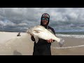 The MONSTROUS Beach Fish I Should Have NEVER Caught!