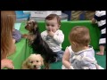 Michelle Jenner se emociona con los bebés y cachorritos de Marron - El Hormiguero 3.0
