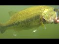 BIG FALL BASS