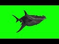 GreenScreenShort - Hammer head swimming