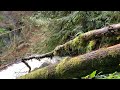 Ludlow Falls at Port Ludlow, Washington