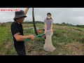20-year-old girl catches a snarling giant snake, preparing to attack the cows | Giant king cobra