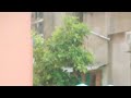 Barbados hurricane storm rain 🌧️ live!!!!#storm #hurricane