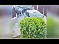 Thieves Disappointed When Encountering Dogs! - Instant Karma