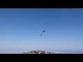 Bird flying at Table Mountain (Cape Town)