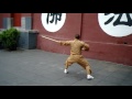 Shaolin Yin shou gun - 少林阴手棍