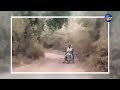 Bikers Encounter with 2 Tigers NARROWEST ESCAPE
